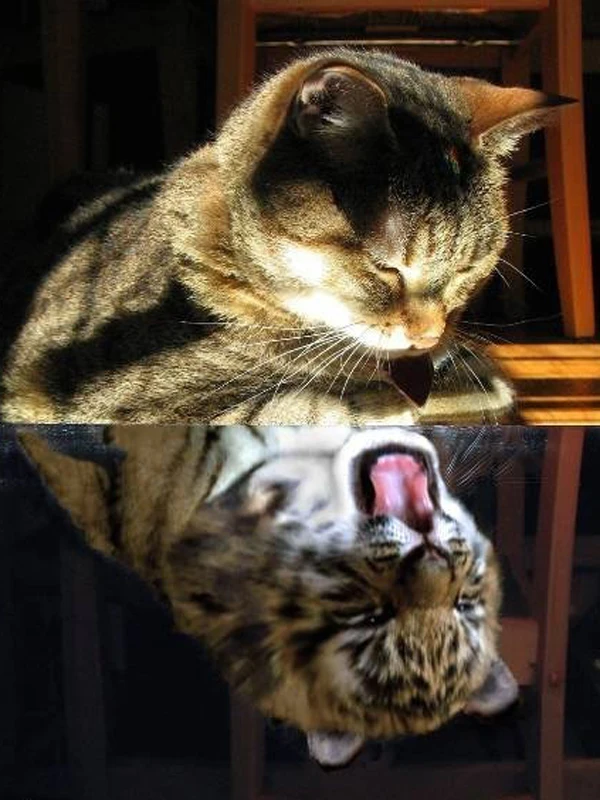 307c3de34b2161486361d071fbe45d33