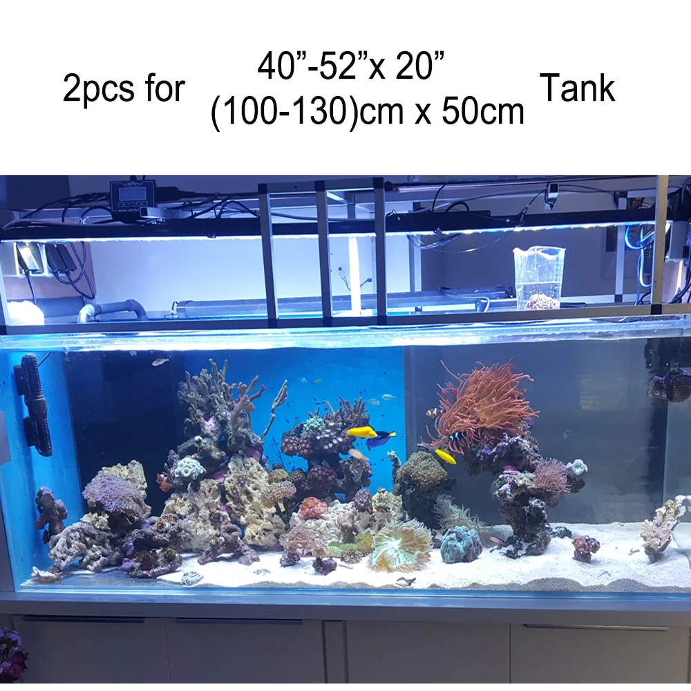 2-实物配缸照-4-2