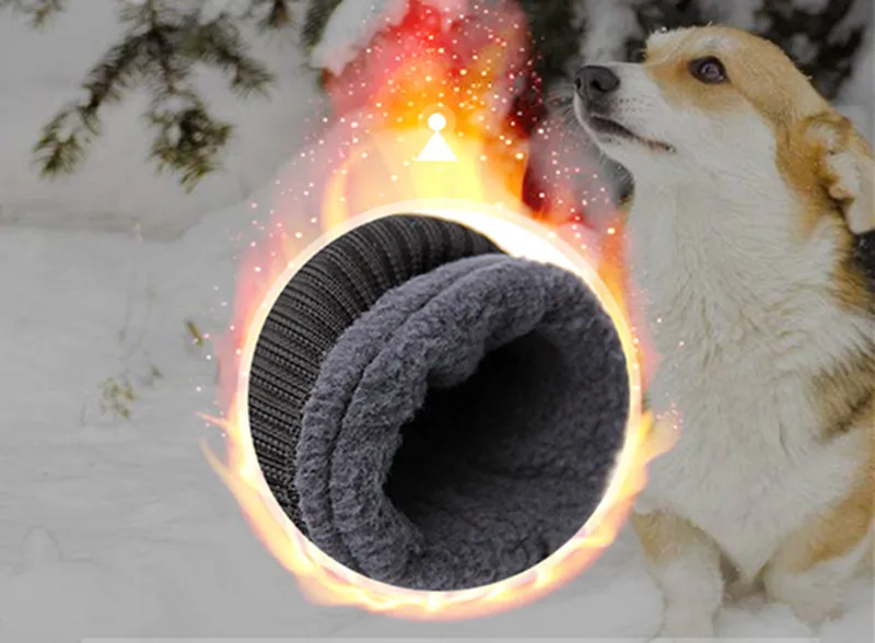WINTER SHOES FOR DOG