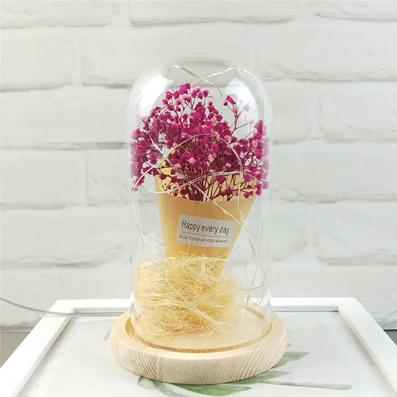 Gypsophila романтическое моделирование стеклянная крышка Led микро пейзаж с USB питание