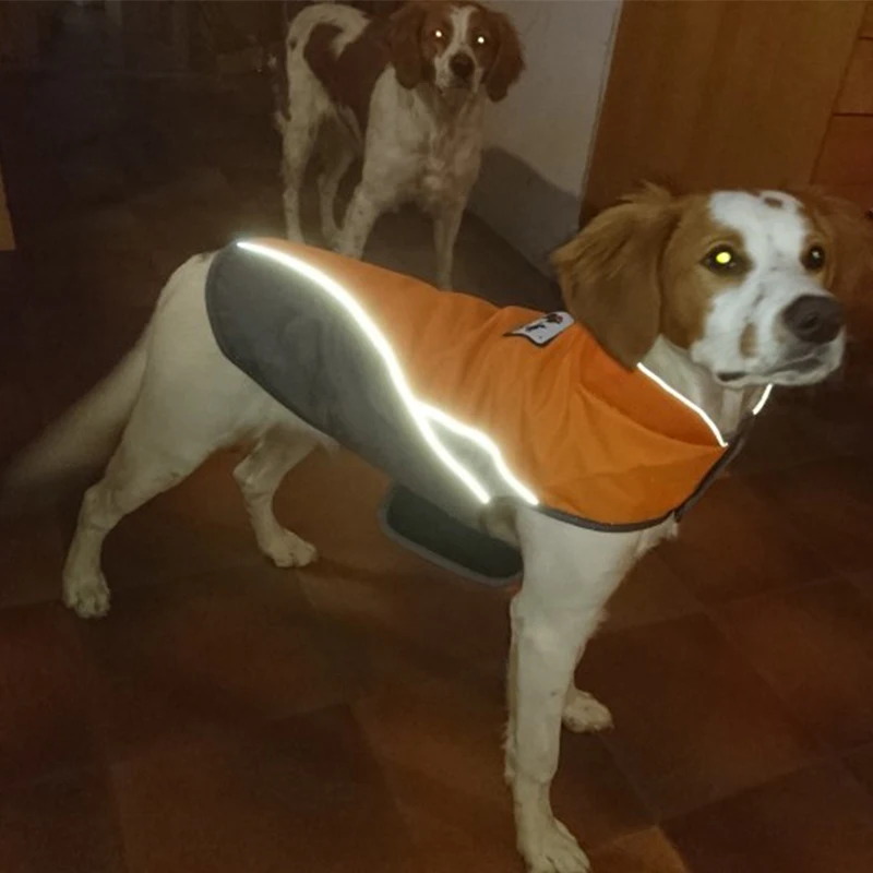 Осенняя одежда для собак зимняя Толстая водонепроницаемая куртка ночной отражатель Безопасный Жилет для маленьких средних собак XS-3XL