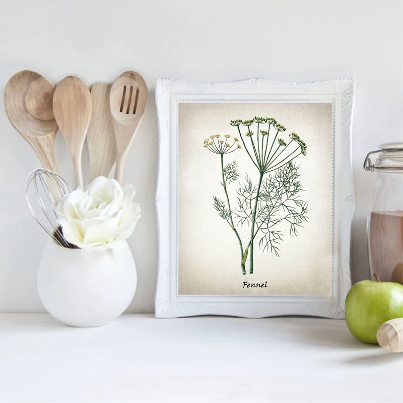 Herb Prints Kitchen Decoration