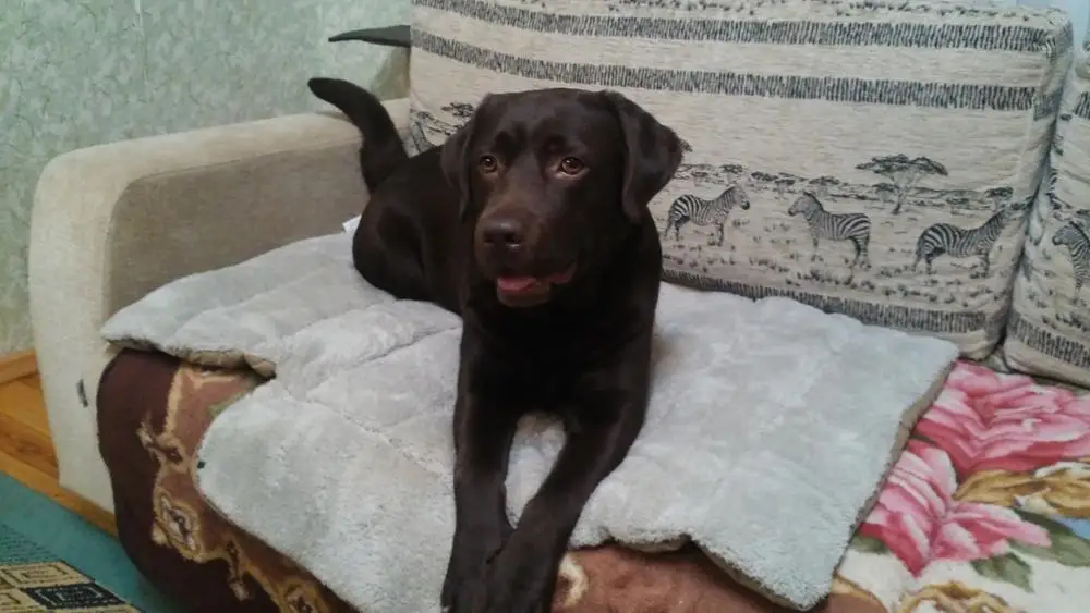 UT8yqC.X3BXXXagOFbXJ