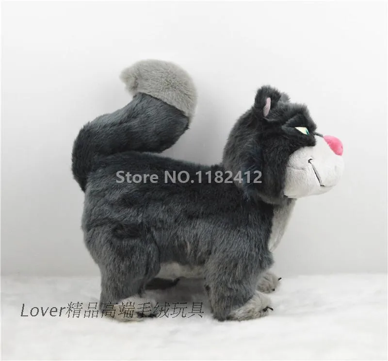 grey cat teddy