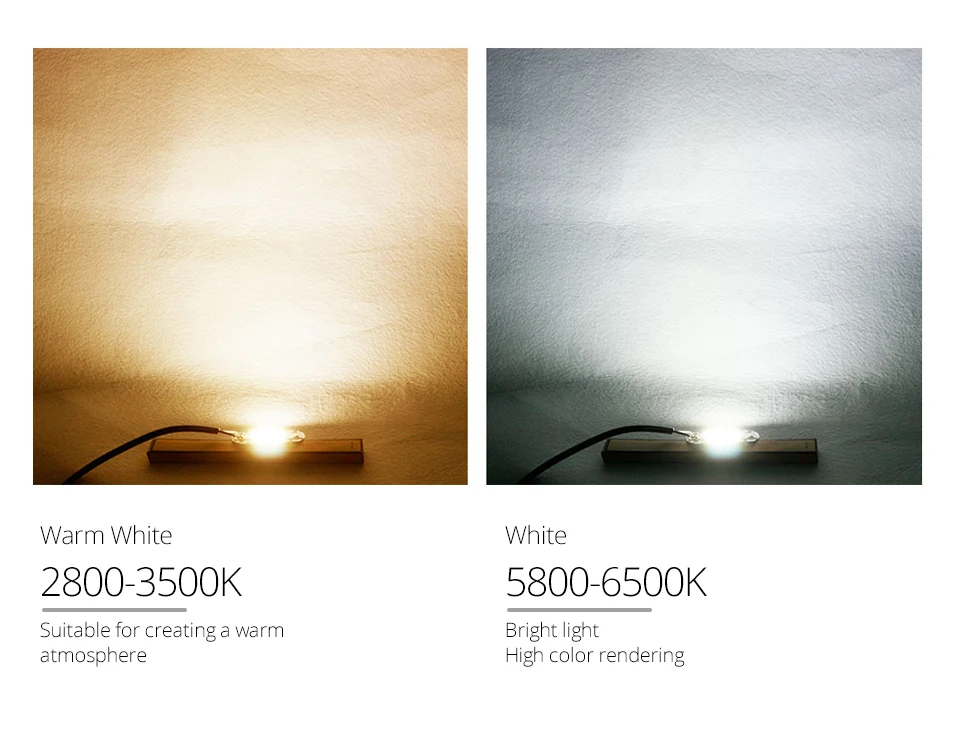 COB light (6)