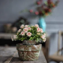 Red pottery flowerpot simple ceramic planter green plant ancient moss pot plant flowerpot aerated moss flowerpot flowerpot moss 