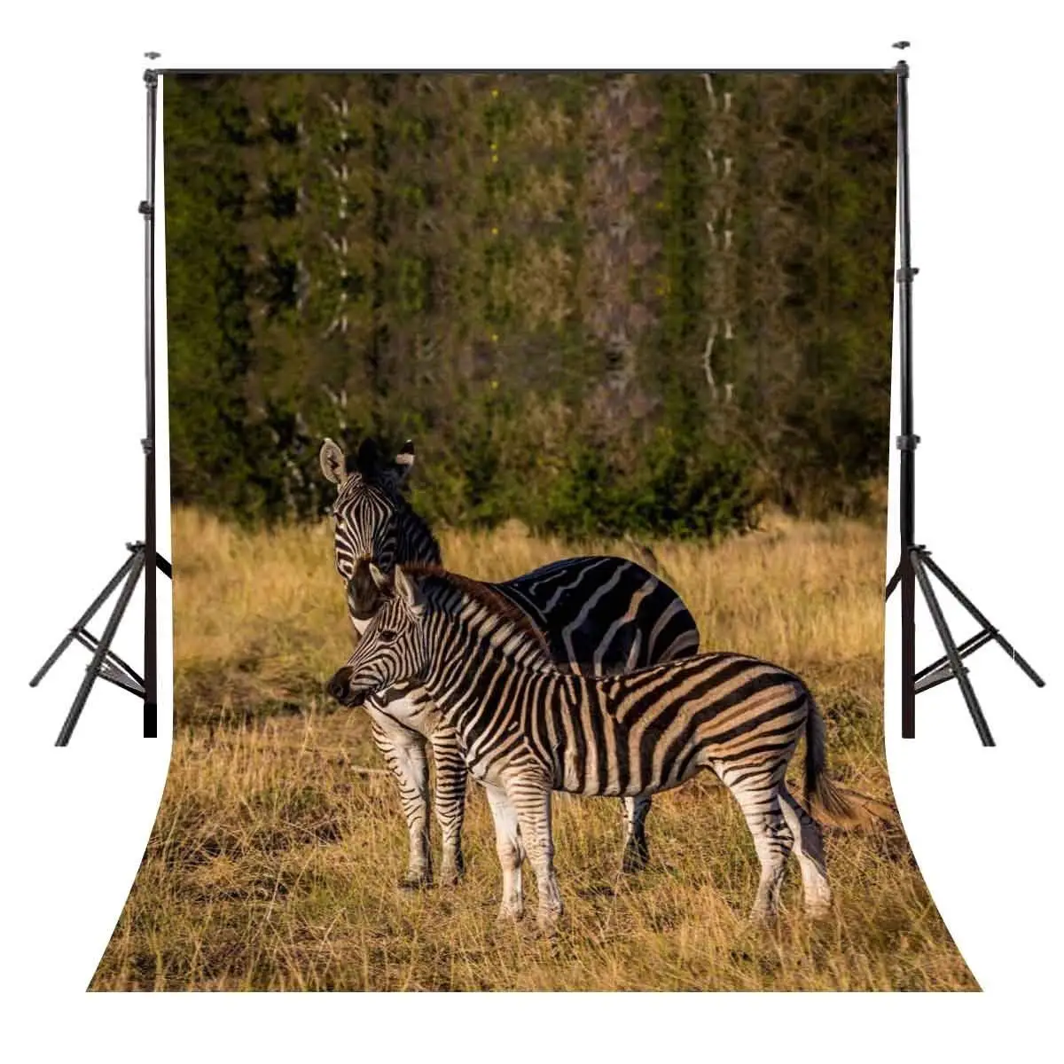 5x7ft Stopped Zebras Backdrop Outdoor Travel Photography Background Studio Props | Электроника