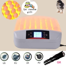 56 Automatic Egg Incubator Digital Clear Egg Turning Temperature Control Farm Hatchery Machine Chicken Egg Hatcher Brooder 56 Automatic Egg Incubator Digital Clear Egg Turning Temperature Control Farm Hatchery Machine Chicken Egg Hatcher Brooder
