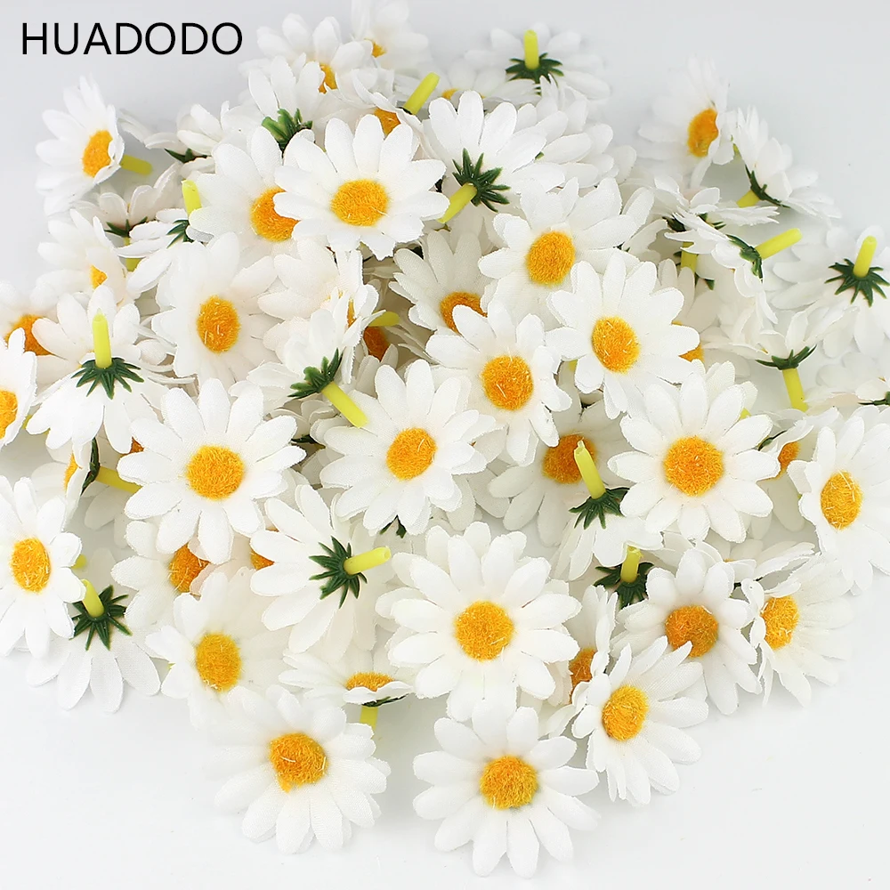 daisy