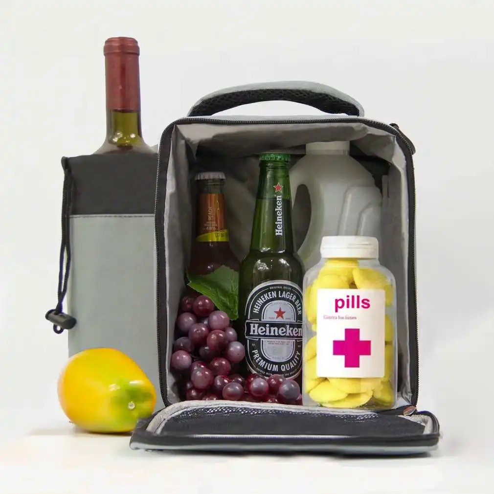 

Outdoor Insulated Lunch Cooler Bag, Thermal Picnic Box with Adjustable Shoulder Straps
