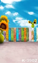 Backgrounds 150CM x 200CM fondos de estudio Blue Sky Backdrops Children Outdoor Background For Photo Studio Spray Painted Photos