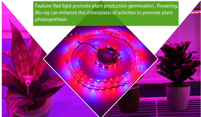 Светодиодный светильник для выращивания растений, полный спектр, Светодиодная лента 5 м, 12 В, 5050, красный, синий, 4:1 светодиодный светильник, 16,4 фута, водонепроницаемая веревка для теплицы, Гидропоника