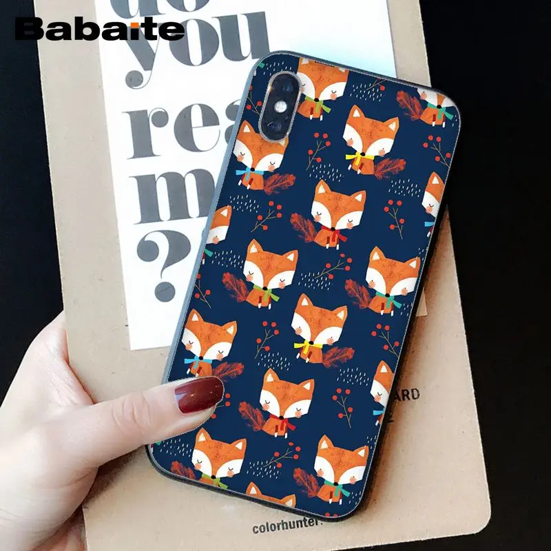 Animal More Cute Fox cat