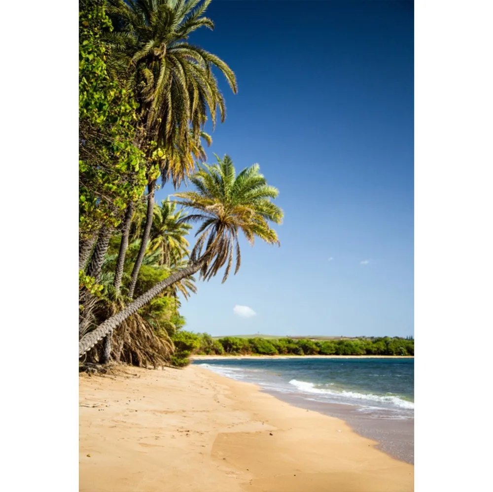 

Laeacco Photo Backdrops Tropical Sea Beach Palm Tree Sand Blue Sky Holiday Baby Scenic Photographic Backgrounds For Photo Studio