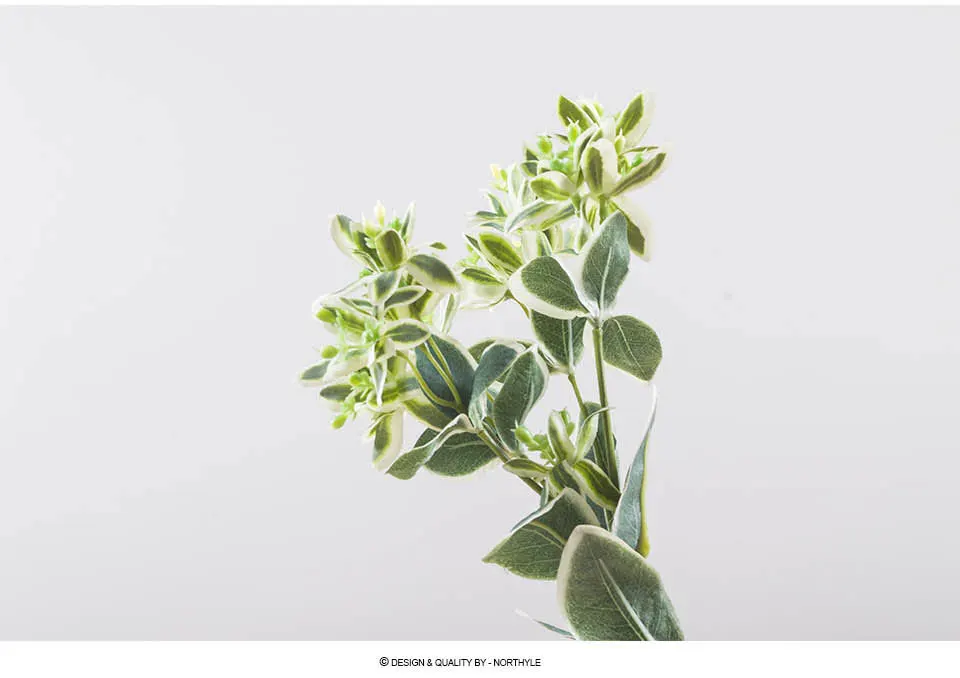 Northyle искусственный Euphorbia Marginata зелени-18," Длина поддельные травы Home Decor Искусственные растения Настенный декор РП