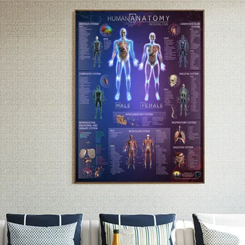 

Human Anatomy Interactive Atlas Chart Art Canvas Fabric Poster Prints Home Wall Decor Painting