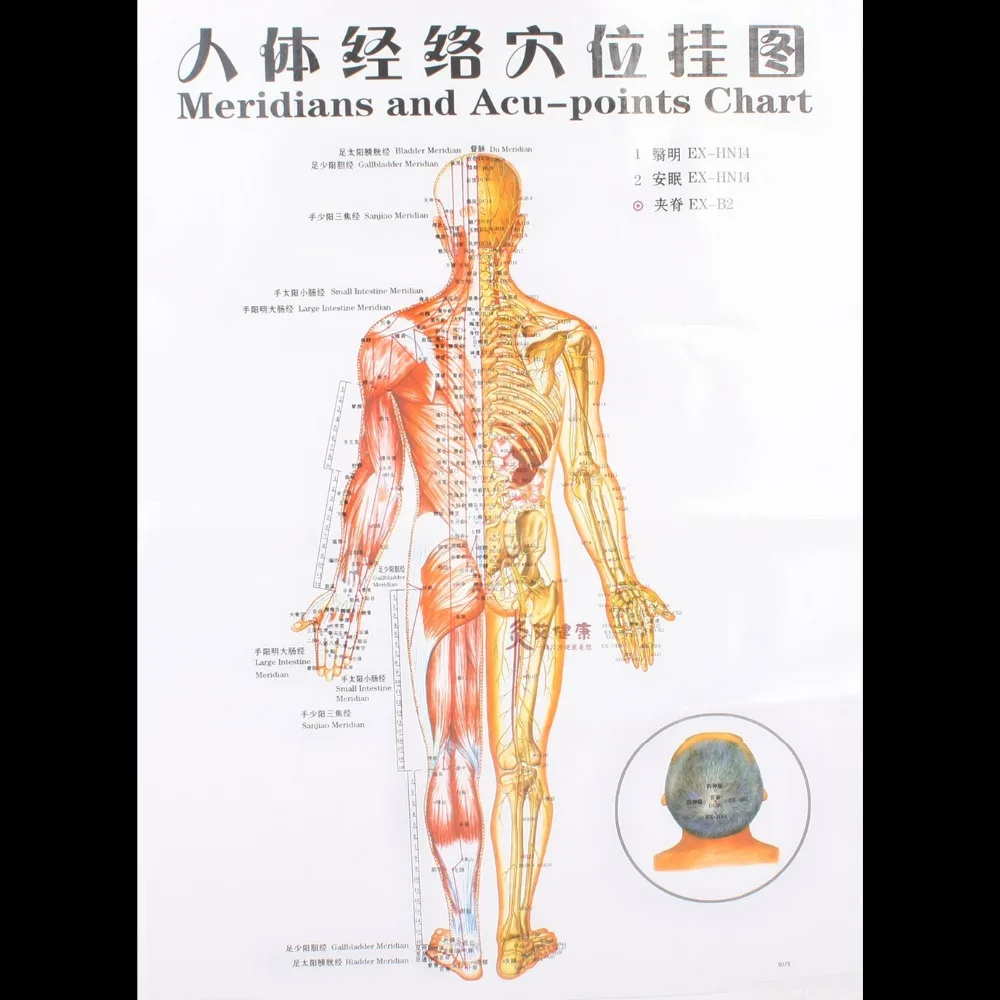 3 шт./7 шт. голографические точки для акупунктуры|massage acupuncture|massage massagesacupuncture massager |
