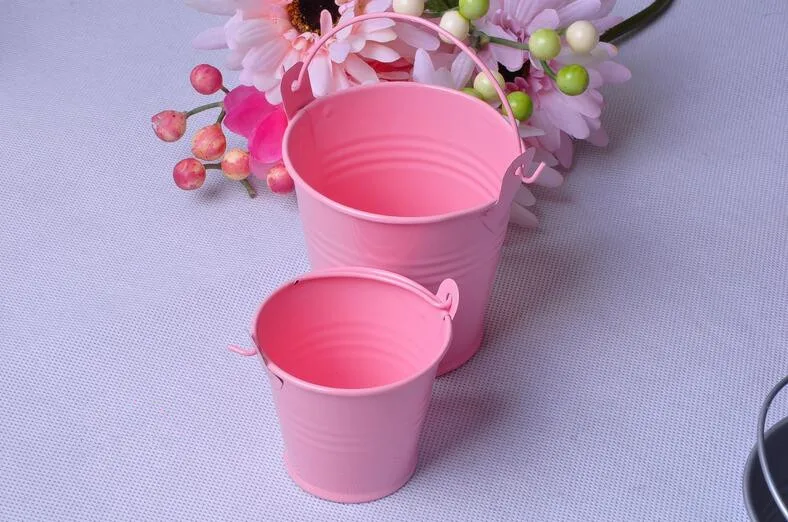 5 шт. Мини Милая шоколадная ведра для конфет Свадебная вечеринка Сувениры DIY мясистое растение цветы Оловянная коробка для Babyshow - Цвет: Pink