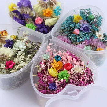 

Mixed Dried Flowers Nail Art Decoration Preserved Flower With Heart Shape Box DIY Tips 3D Nail Art Decoration