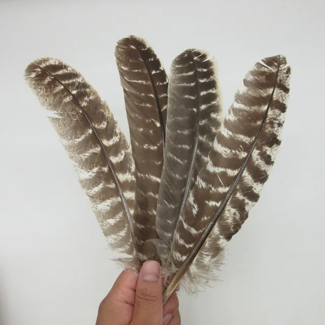 Wholesale Quality Real Eagle feather 10 18 Inch/20 40CM Natural Eagle