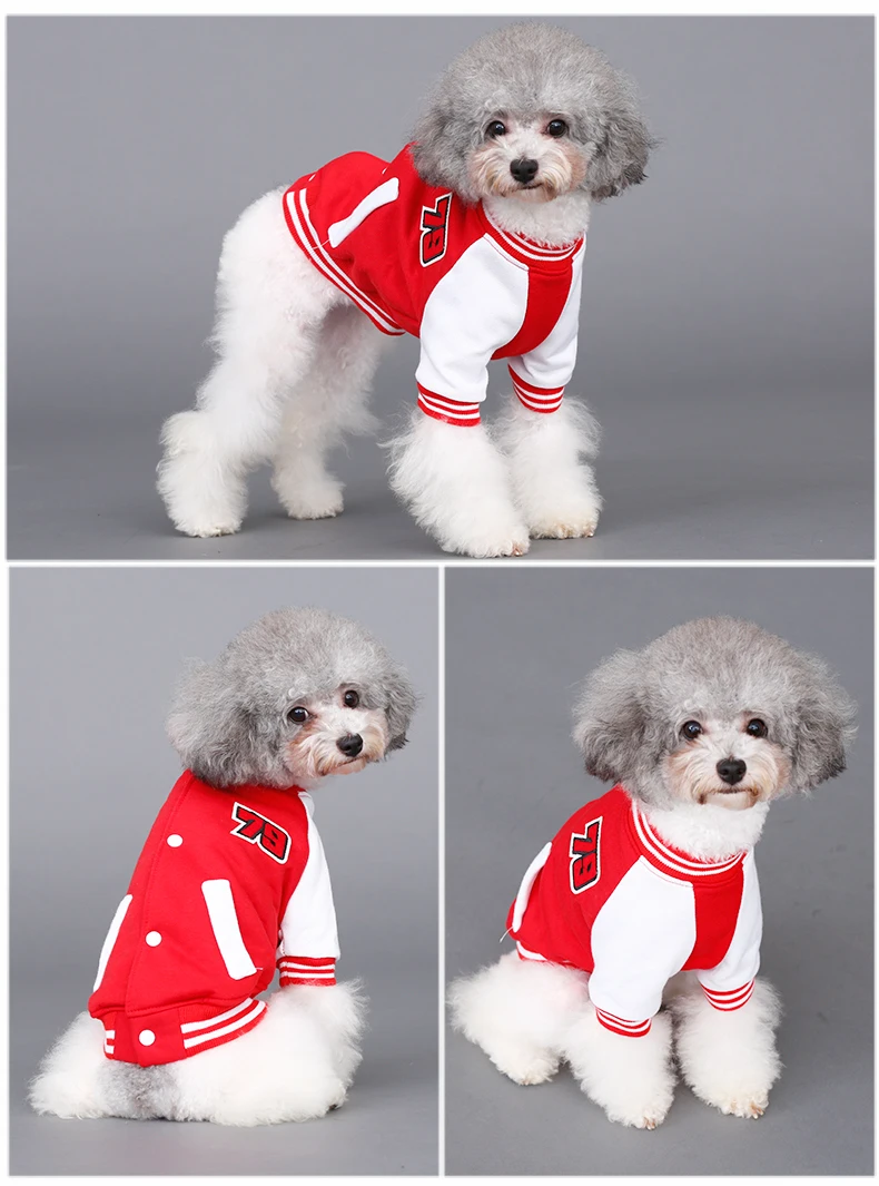 HOOPET модная одежда для домашних животных Спортивный Стиль Верхняя Одежда Щенок Кошка маленькая собака крутая бейсбольная форма пальто весна осень