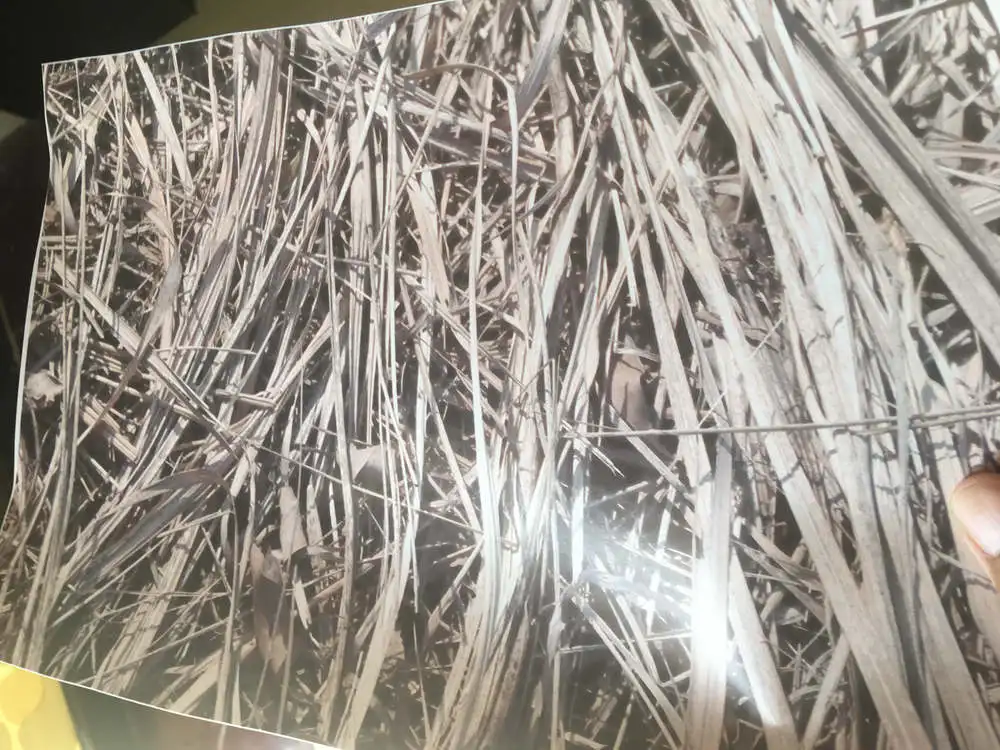 Matte Mossy grass TREE CAMOUFLAGE OAK REALTREE CAMO Vinyl Film For WHOLE Car wrap covering  (2)