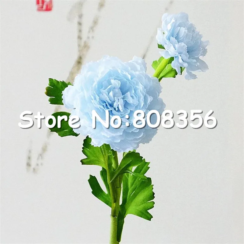 966