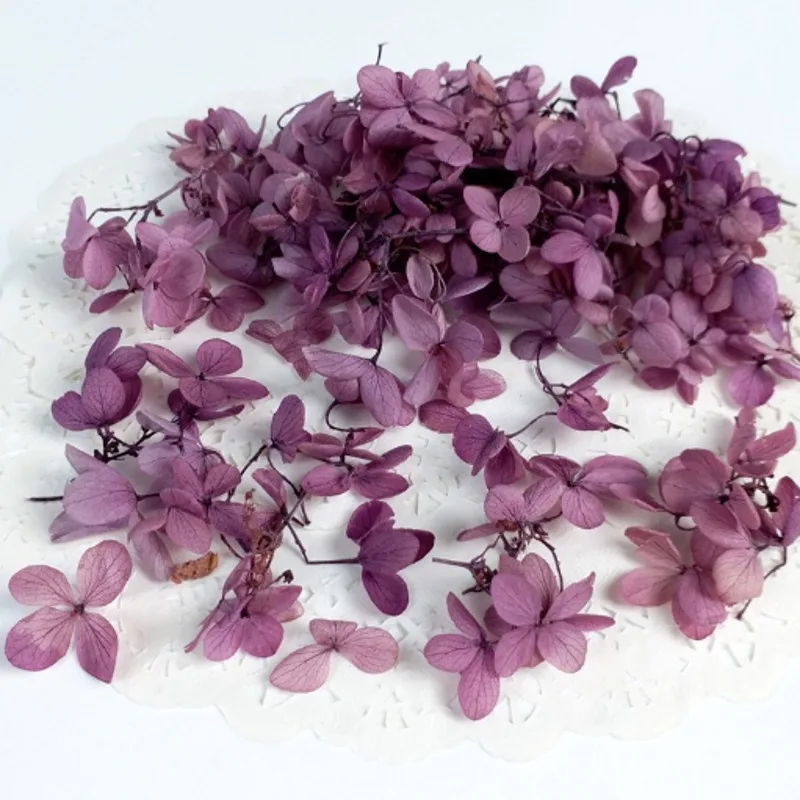 5 г/лот высокое качество натуральные свежие вечные цветы сушеная соцветия гортензии для DIY настоящая вечная жизнь цветы материал