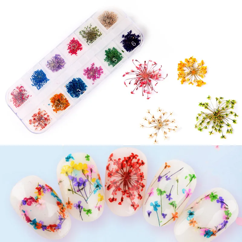 

12 Patterns 3D Dried Flower Nails Stickers Decorated Bride Objects Wedding Party Decoration Photo Props DIY Nail Tool Belt Box,Q