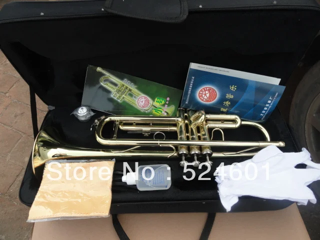 

Brand Instrument Xinghai XT-120 Brass Gold Plated Surface Small Bb Trument For Beginners Bb Trumpet With Case Mouthpiece