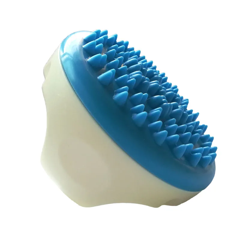 主10
