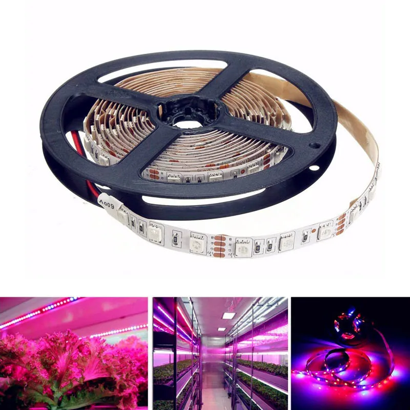 식물 성장 수경 조명용 LED 성장 조명 스트립, 비방수 성장 램프, 묘목 온실 DC 12V 5050
