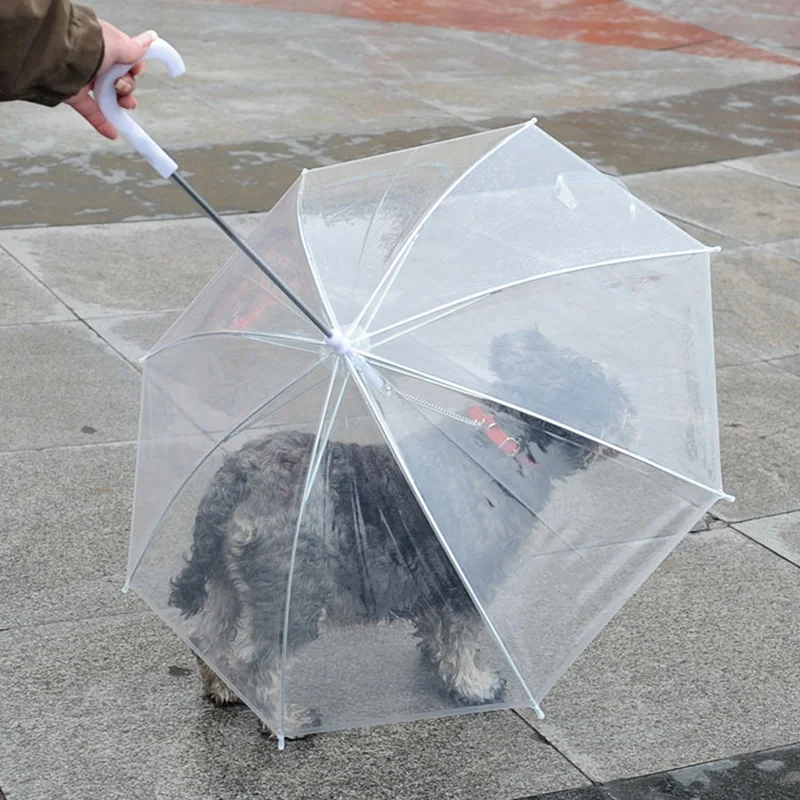 Sqinans прозрачный зонт для домашних животных портативный зонт со щенками со встроенным поводком собачий дождь в дождь и снег дни