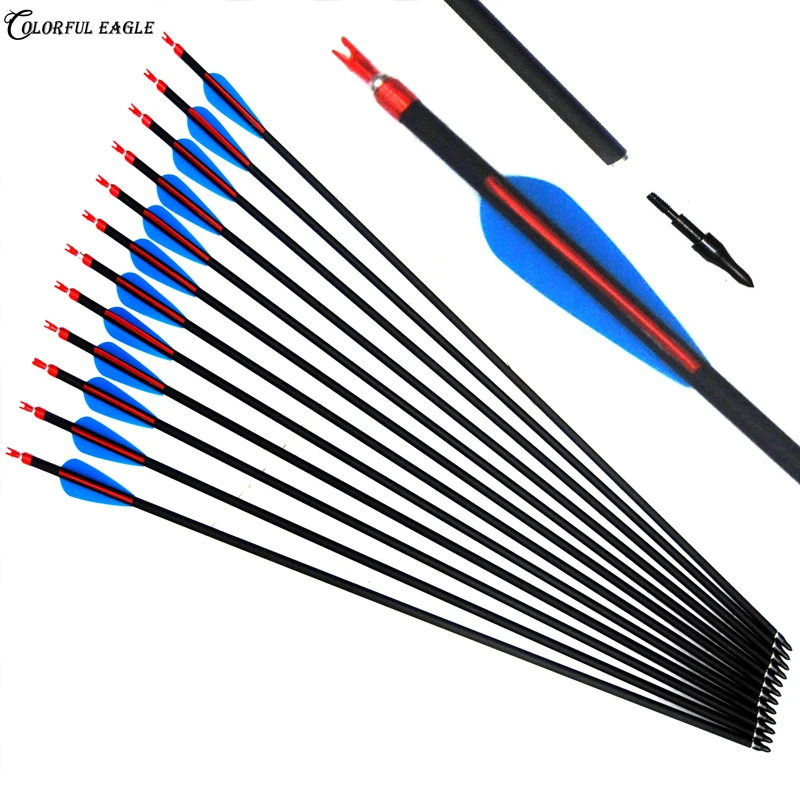 

28/30/31inch Archery Carbon Arrows Spine 500 Targeting Arrows with Replaceable Broadhead Nock for Compound Recurve Bow Hunting