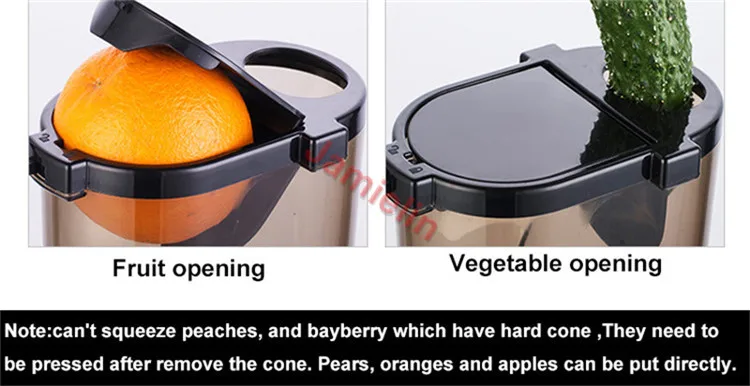 fruit juicer details 1