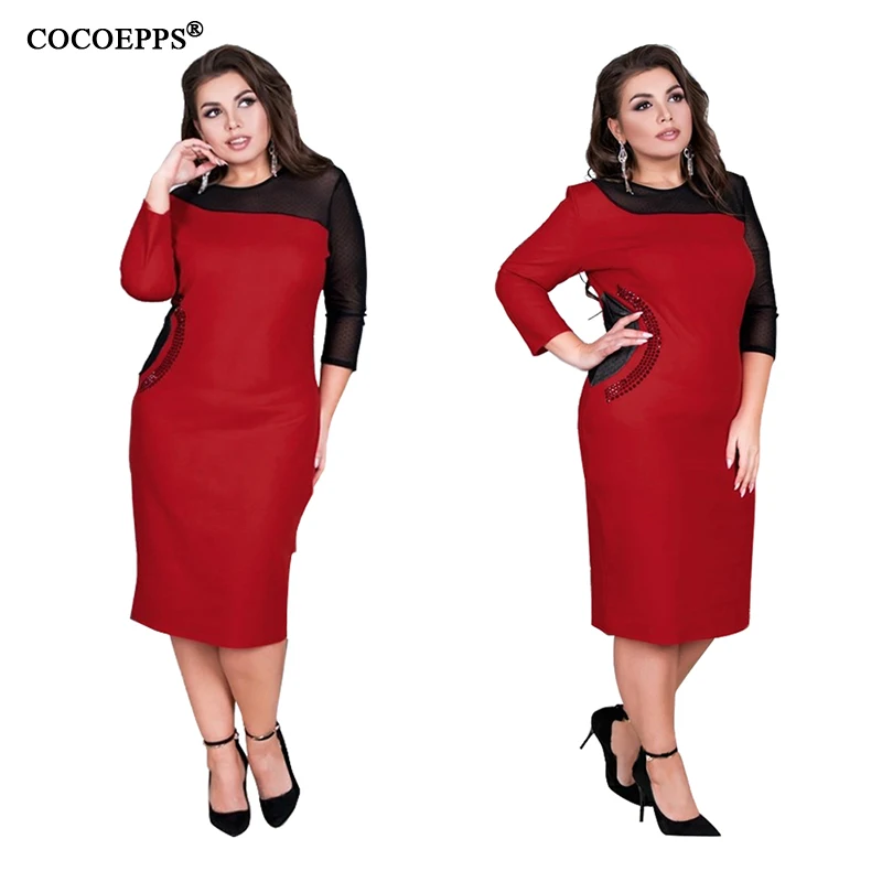 COCOEPPS  6