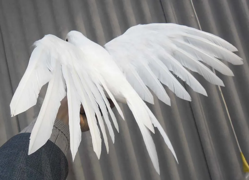 Новый Моделирование Белый Игрушка Голубь реалистичные крылья игрушечная Чайка подарок около 48x30 см