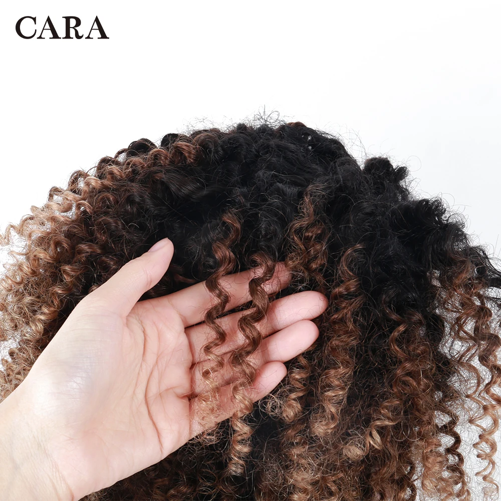 CARA-5