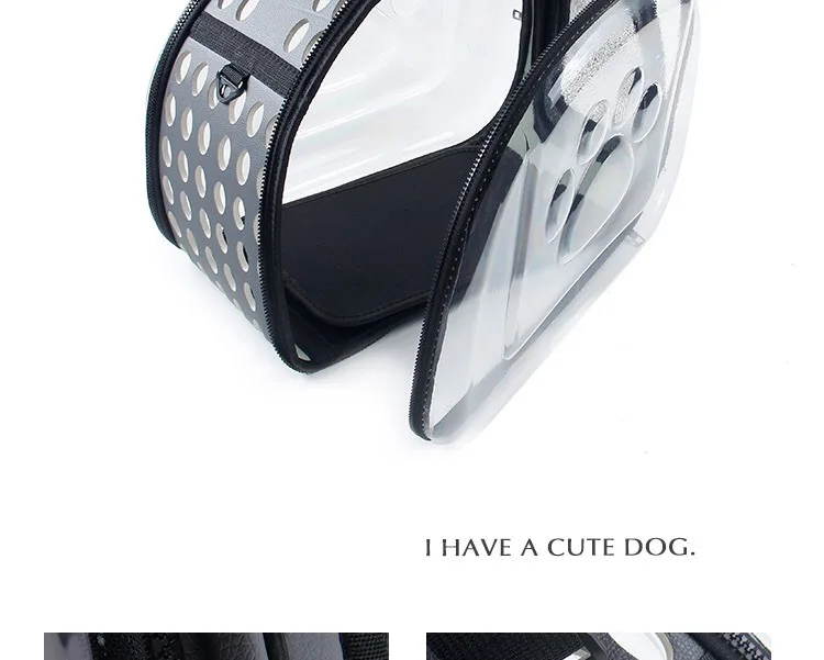 dogIMG_2461