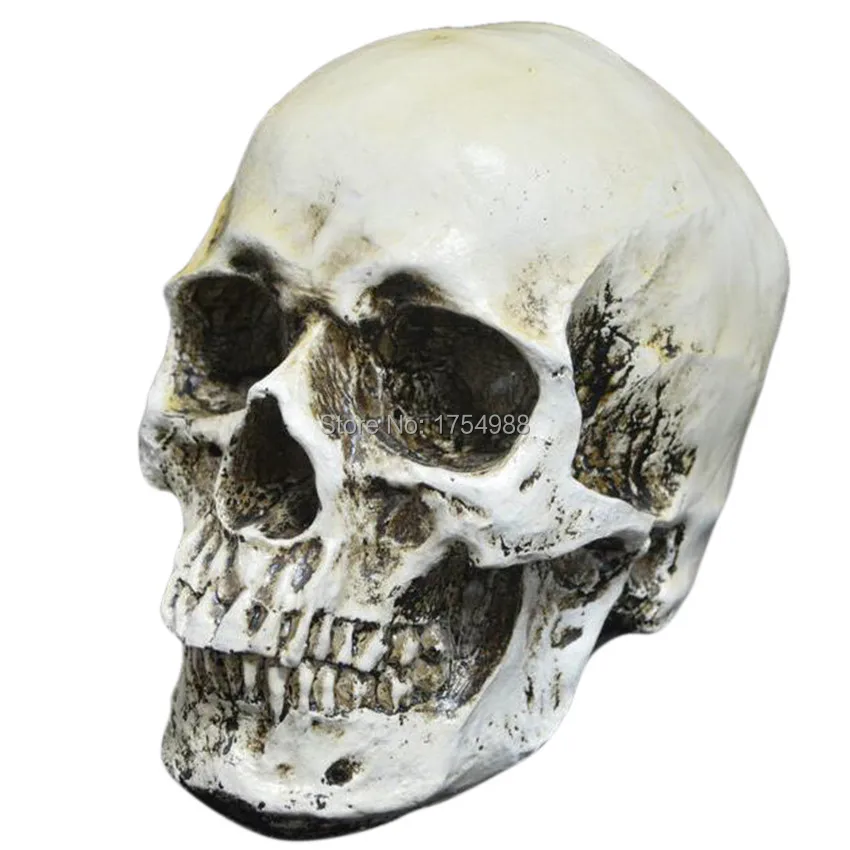 Resin Head Skull (1).jpg