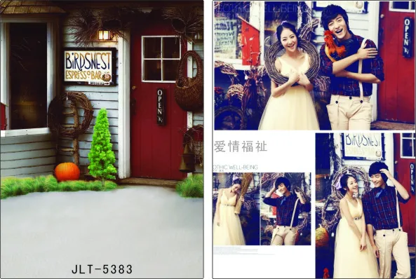 

300cm*300cm Vinyl Custom Photography Backdrops Prop Digital Photo Studio Background  S-5383