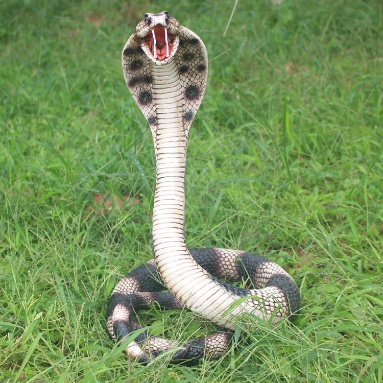 Agréable Sculpture De Jardin #5: Simulation Cobra Sculpture Jardin Décorations à La Main Résine Serpent Figurine Ornements Décors à ... Agréable Sculpture De Jardin #5: Simulation Cobra Sculpture Jardin Décorations à La Main Résine Serpent Figurine Ornements Décors à ...