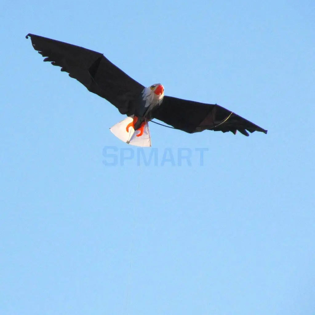 

Eagle Shape Kites Flying Kite with String Windsock Outdoor Game Kids Garden Playground Toy