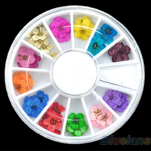 36 قطعة 3D مسمار الفن ملصق المجففة زهرة DIY نصائح الاكريليك الديكور عجلة 7GV6