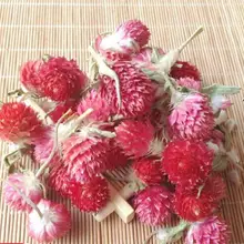 Sierra чай сушеный глобус амарант цветок