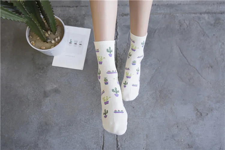1 пара; сезон весна-лето; удобные милые хлопковые носки с рисунком кактуса для женщин и девочек; повседневные теплые мягкие забавные носки