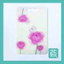 Пластик разделочная доска для мяса, офощей, фруктов продается Цвет eco-friendly цельнокроеное платье Пособия по кулинарии инструмент 36 на 24 см Кухня