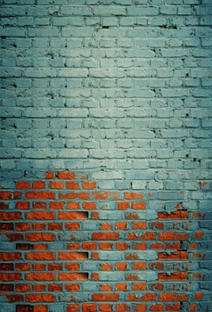 

HUAYI Vintage Peeling Brick wall Photography Newborn Backdrop XT4157