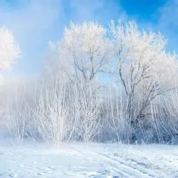 Viny уличные зимние фотографии фон белый снег новорожденных детей Зимний лес фон для фотостудии
