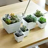 Garden Supplies
